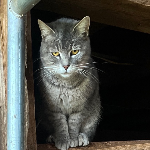 Meet your Posher, Jamie - Picture 8 of 9